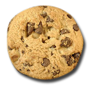 chocolate chip cookie