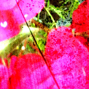 a swirling layered image of nothing in particular