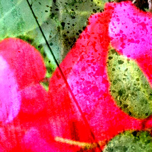 a swirling layered image of nothing in particular