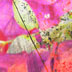 box 1 small image
