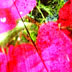 box 2 small image