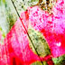 box 3 small image