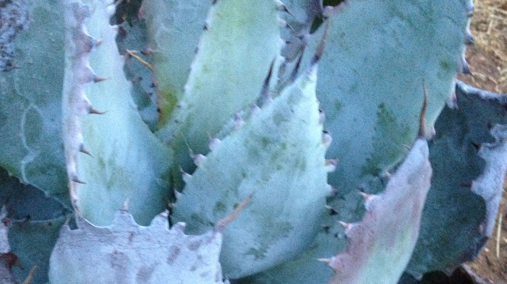 Slideshow Image 6