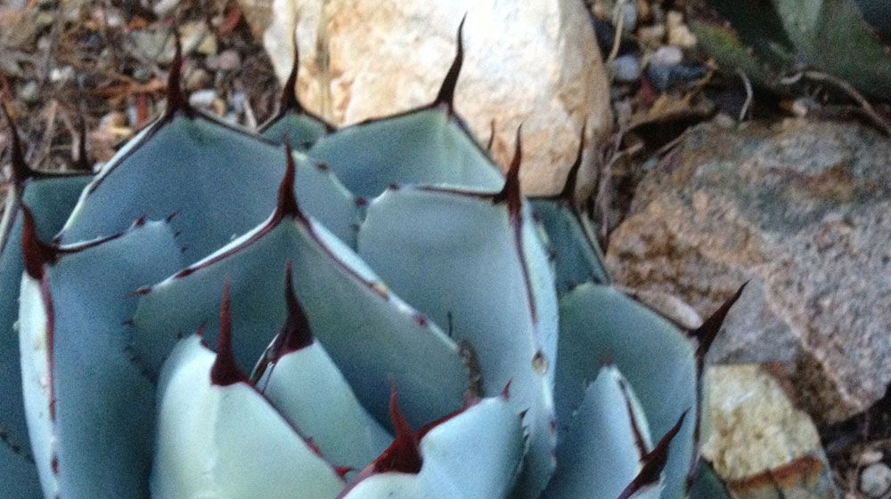 Slideshow Image 7