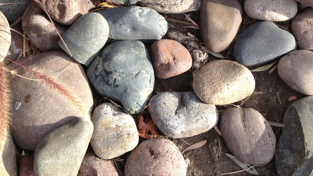 Slideshow Image 8